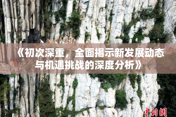 《初次深重，全面揭示新发展动态与机遇挑战的深度分析》
