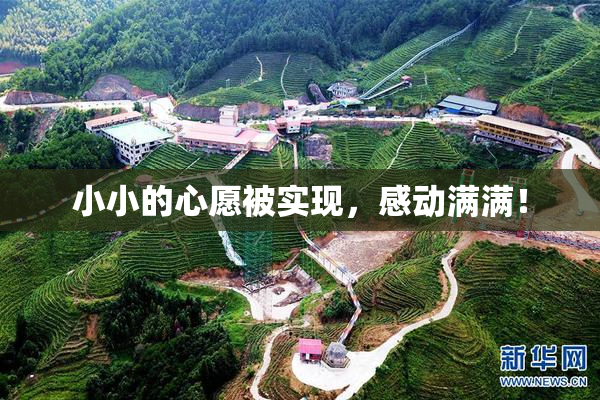 小小的心愿被实现，感动满满！