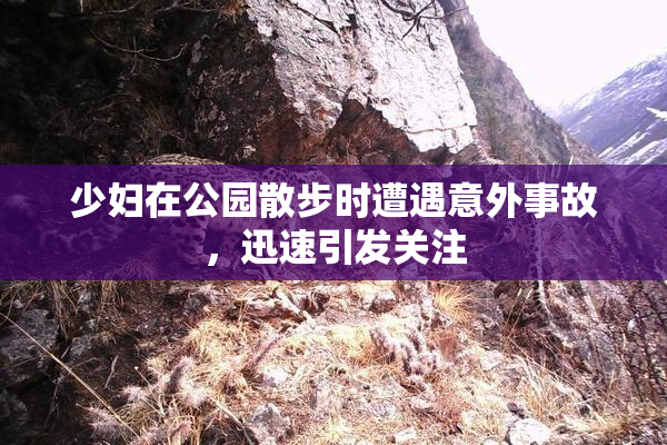 少妇在公园散步时遭遇意外事故，迅速引发关注
