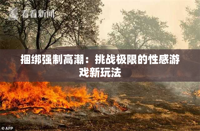 捆绑强制高潮：挑战极限的性感游戏新玩法