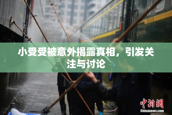 小受受被意外揭露真相，引发关注与讨论