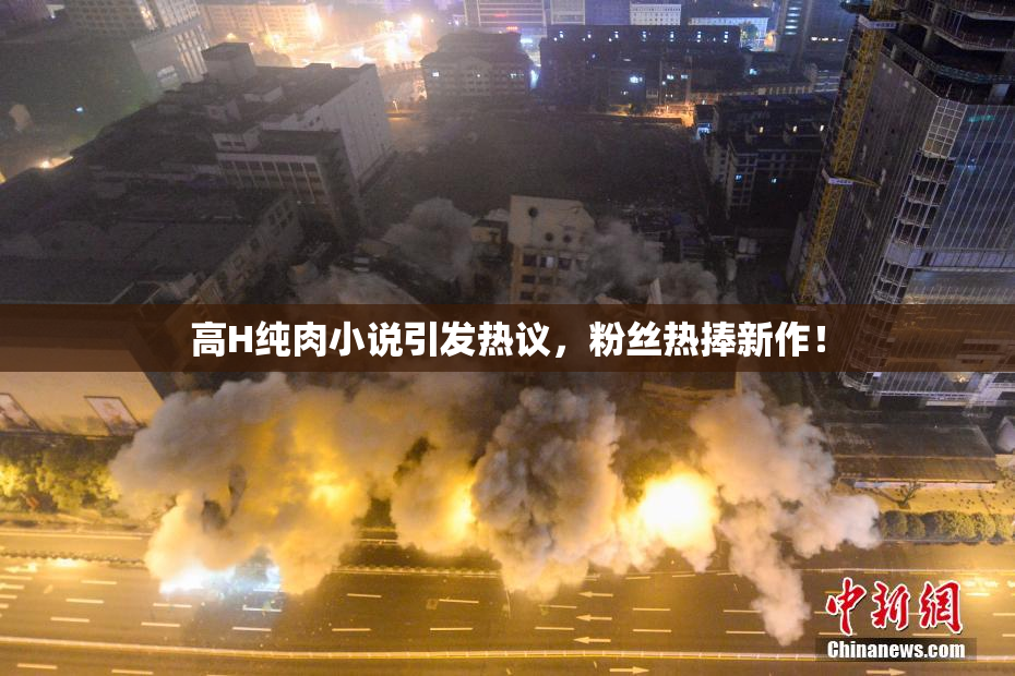 高H纯肉小说引发热议，粉丝热捧新作！