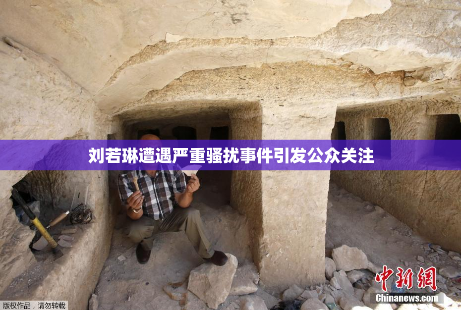 刘若琳遭遇严重骚扰事件引发公众关注