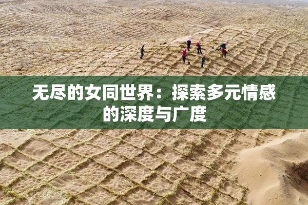 无尽的女同世界：探索多元情感的深度与广度