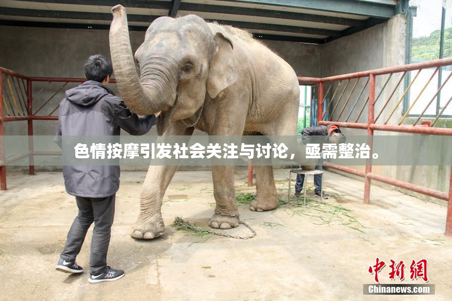 色情按摩引发社会关注与讨论，亟需整治。