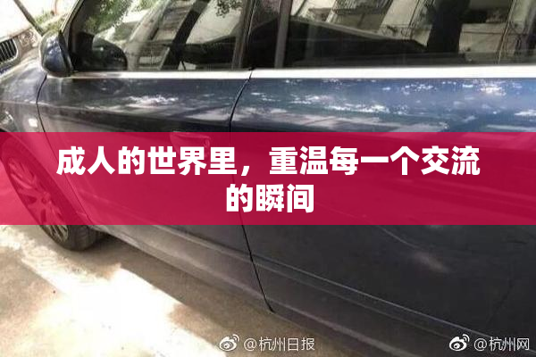 成人的世界里，重温每一个交流的瞬间
