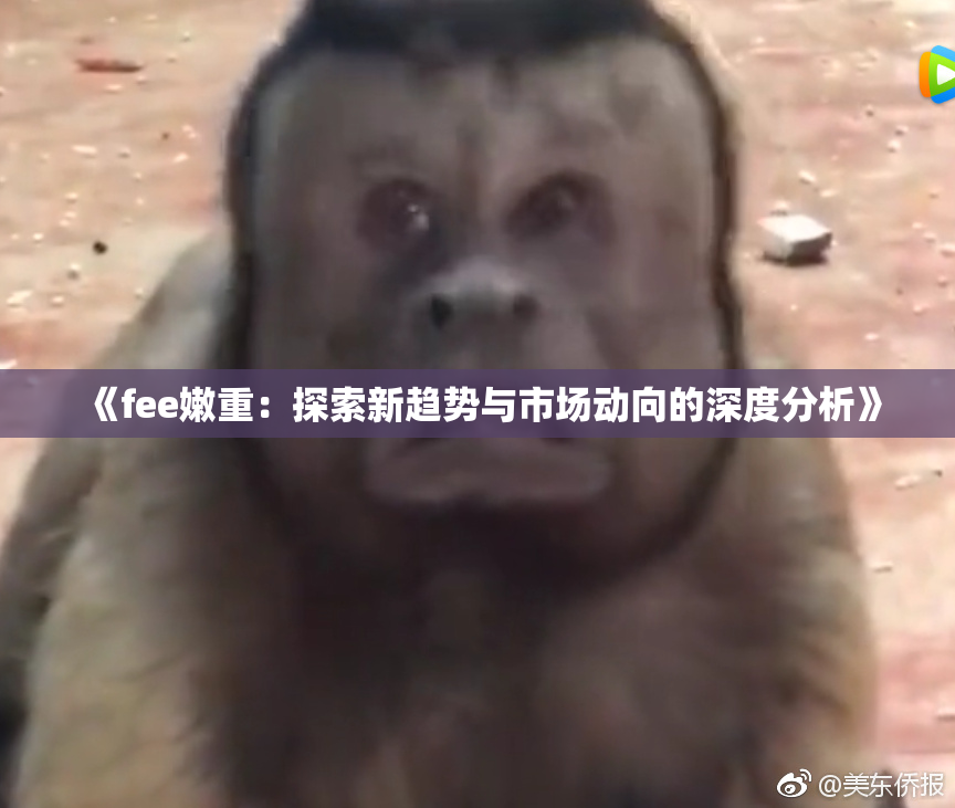 《fee嫩重：探索新趋势与市场动向的深度分析》