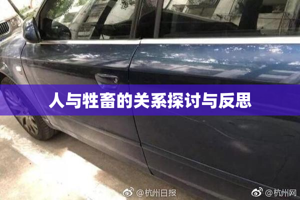 人与牲畜的关系探讨与反思