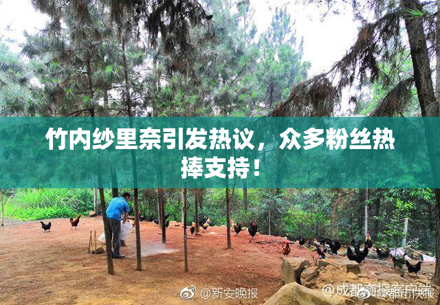 竹内纱里奈引发热议，众多粉丝热捧支持！