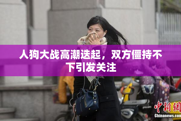 人狗大战高潮迭起，双方僵持不下引发关注