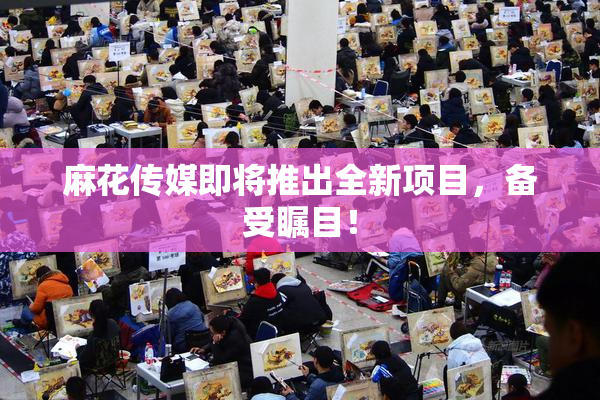 麻花传媒即将推出全新项目，备受瞩目！