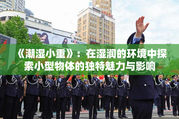 《潮湿小重》：在湿润的环境中探索小型物体的独特魅力与影响
