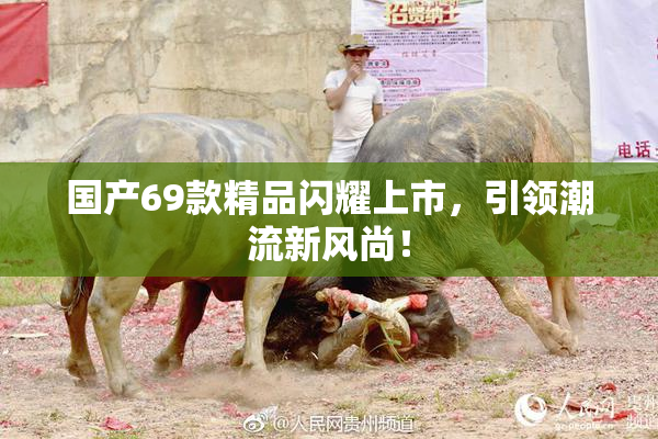 国产69款精品闪耀上市，引领潮流新风尚！