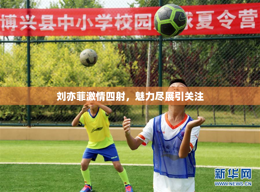 刘亦菲激情四射，魅力尽展引关注