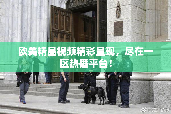 欧美精品视频精彩呈现，尽在一区热播平台！