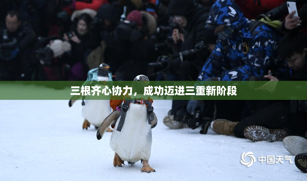 三根齐心协力，成功迈进三重新阶段