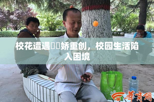 校花遭遇❌‌娇重创，校园生活陷入困境