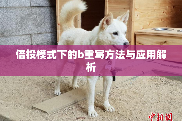 倍投模式下的b重写方法与应用解析