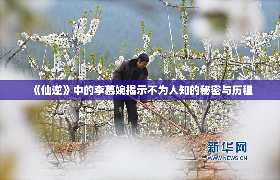 《仙逆》中的李慕婉揭示不为人知的秘密与历程