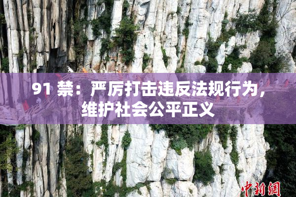 91 禁：严厉打击违反法规行为，维护社会公平正义