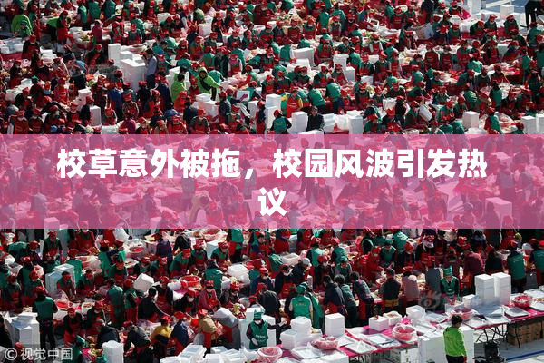 校草意外被拖，校园风波引发热议