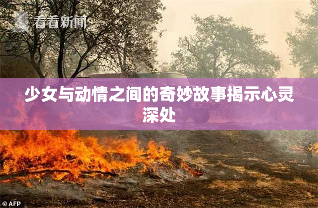 少女与动情之间的奇妙故事揭示心灵深处