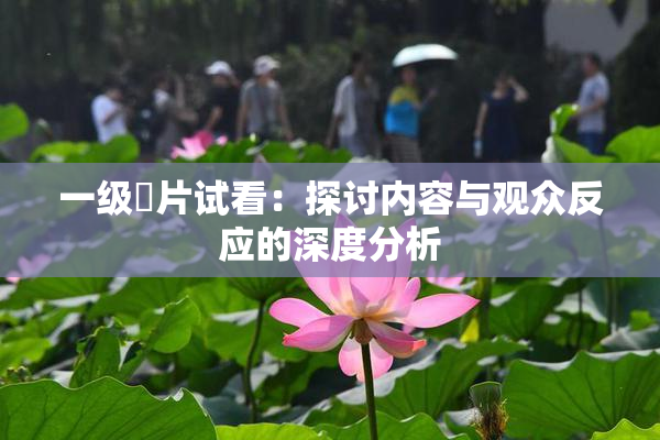 一级婬片试看：探讨内容与观众反应的深度分析