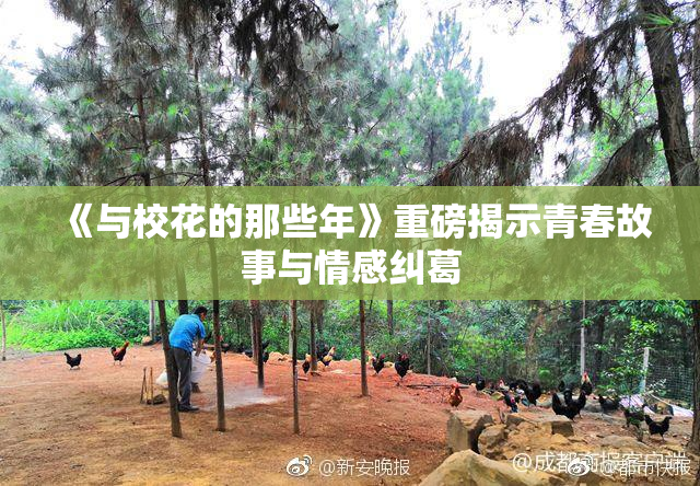 《与校花的那些年》重磅揭示青春故事与情感纠葛