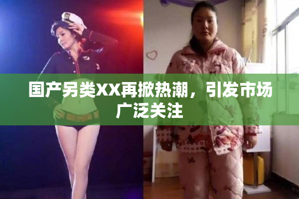 国产另类XX再掀热潮，引发市场广泛关注