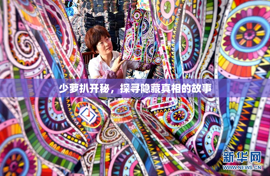 少萝扒开秘，探寻隐藏真相的故事
