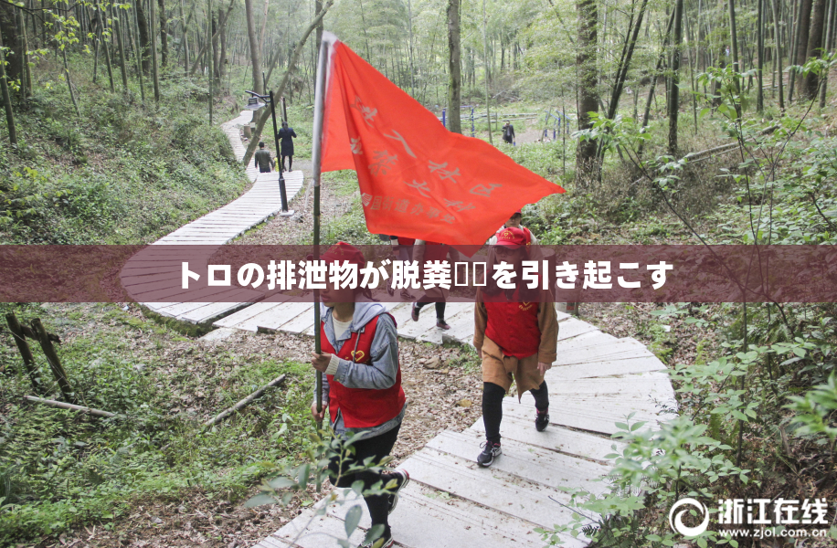 トロの排泄物が脱粪問題を引き起こす