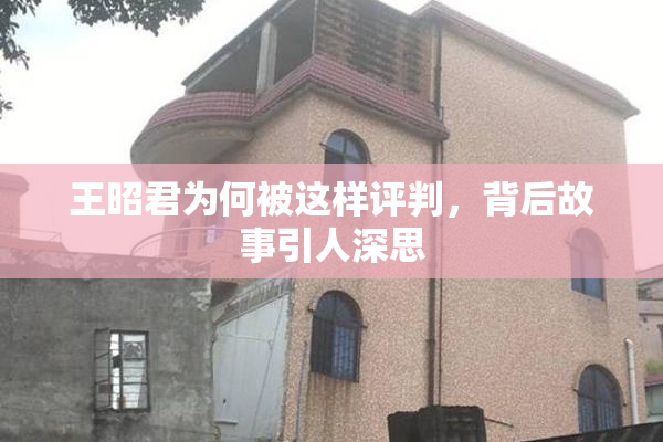 王昭君为何被这样评判，背后故事引人深思