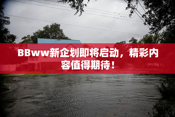 BBww新企划即将启动，精彩内容值得期待！