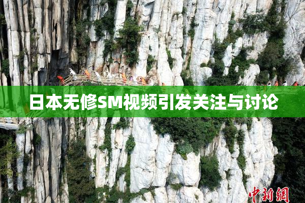 日本无修SM视频引发关注与讨论