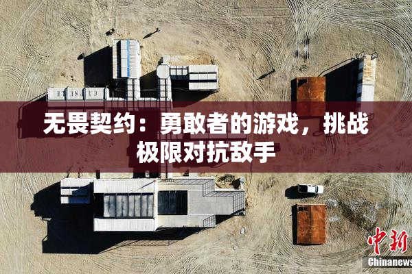 无畏契约：勇敢者的游戏，挑战极限对抗敌手