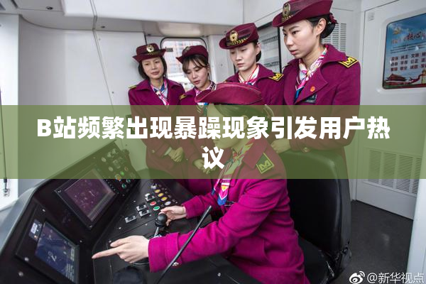 B站频繁出现暴躁现象引发用户热议