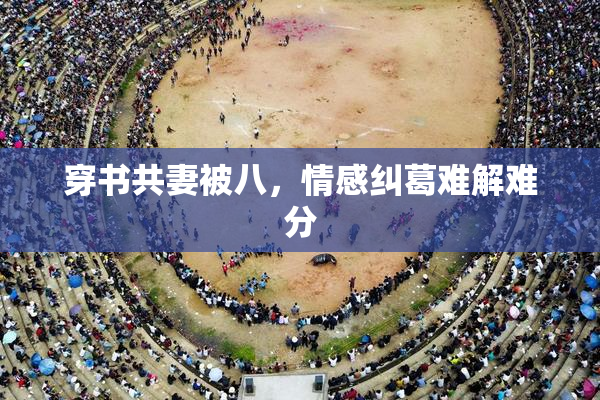 穿书共妻被八，情感纠葛难解难分