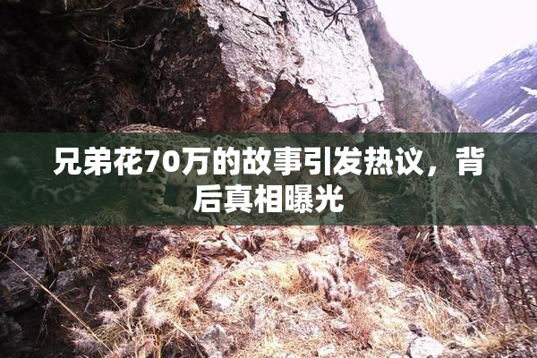 兄弟花70万的故事引发热议，背后真相曝光