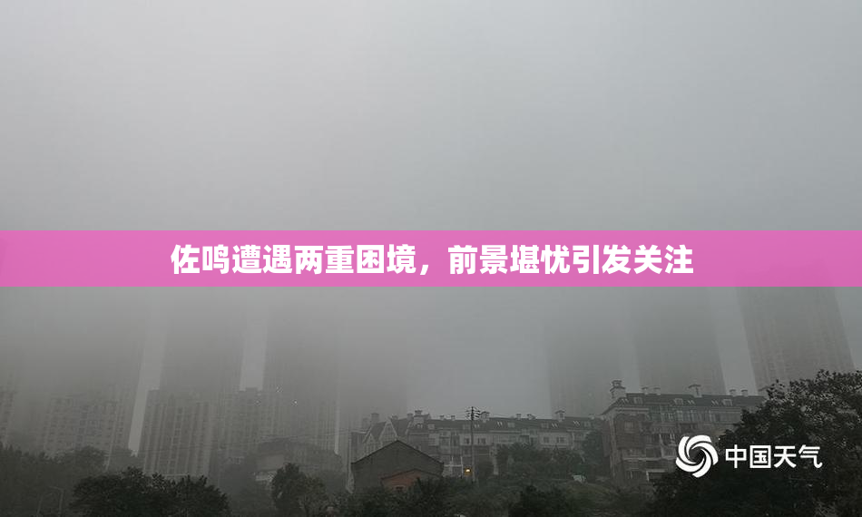 佐鸣遭遇两重困境，前景堪忧引发关注