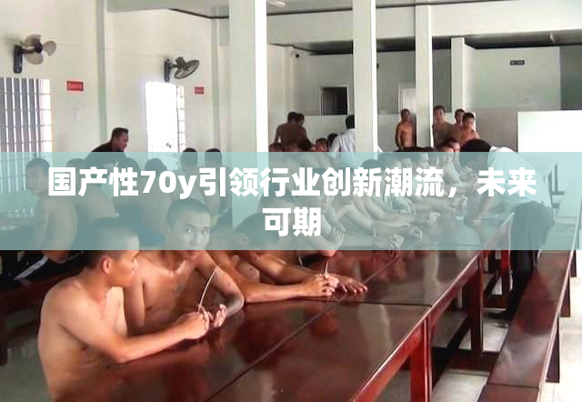 国产性70y引领行业创新潮流，未来可期