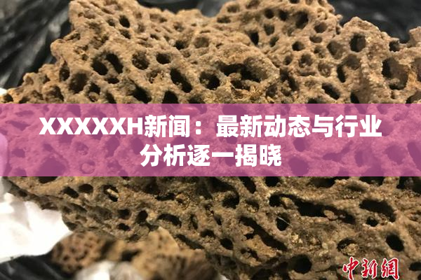 XXXXXH新闻：最新动态与行业分析逐一揭晓