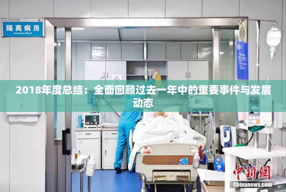 2018年度总结：全面回顾过去一年中的重要事件与发展动态