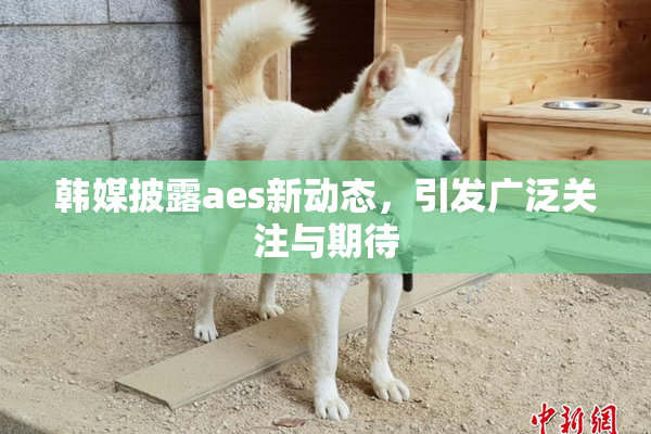 韩媒披露aes新动态，引发广泛关注与期待