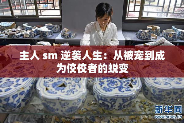 主人 sm 逆袭人生：从被宠到成为佼佼者的蜕变