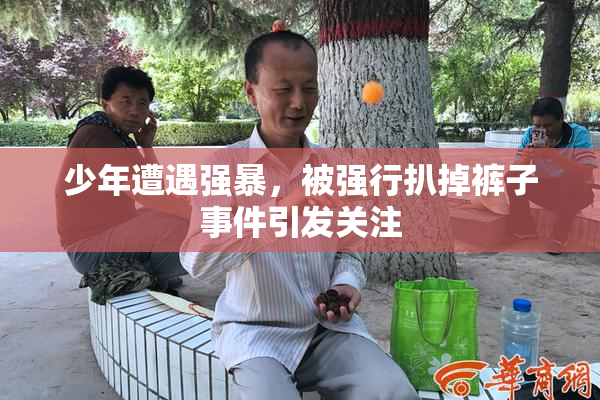 少年遭遇强暴，被强行扒掉裤子事件引发关注