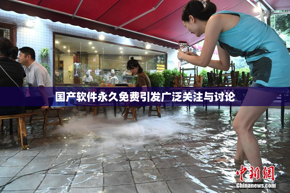 国产软件永久免费引发广泛关注与讨论
