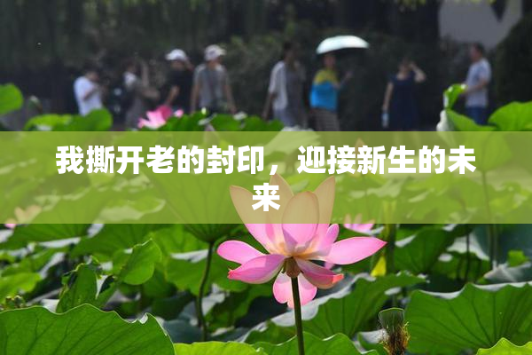 我撕开老的封印，迎接新生的未来