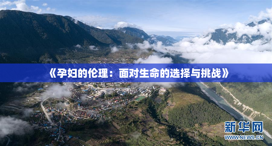 《孕妇的伦理：面对生命的选择与挑战》