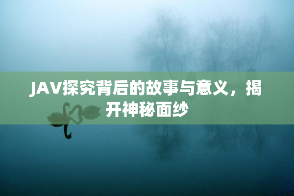 JAV探究背后的故事与意义，揭开神秘面纱