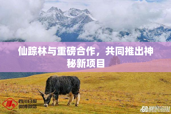 仙踪林与重磅合作，共同推出神秘新项目